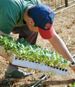 DSC_0098-scaled-1-1024x683