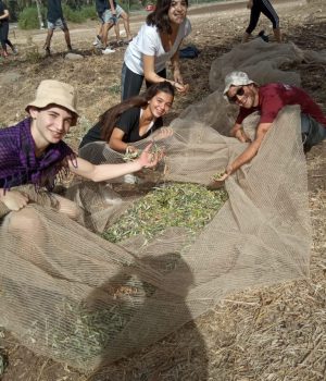 WhatsApp-Image-2022-05-25-at-20.36.57-768x1024