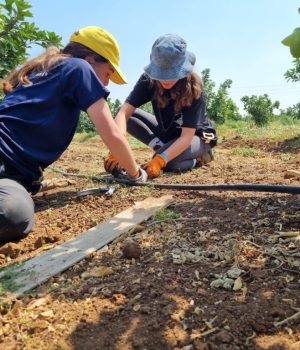 WhatsApp-Image-2024-06-27-at-11.36.59-5-1024x768