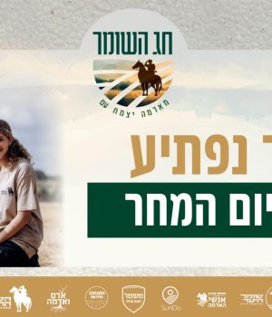 WhatsApp Image 2025-10-06 at 11.09.19