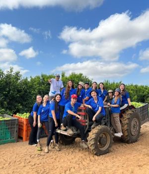 התנועה-החדשה